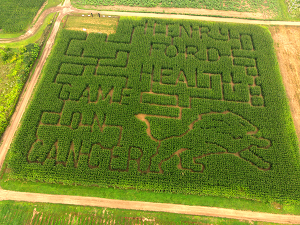 Westview Orchards & Winery carved “Henry Ford Health Game On Cancer” and a giant Detroit Lions logo into a 5-acre corn field to create the maze. Open to the public on August 31, Westview is located at 65075 Van Dyke in Washington, Mich. Westview will donate proceeds from the weekend of Sept. 21 and 22 to Game On Cancer.